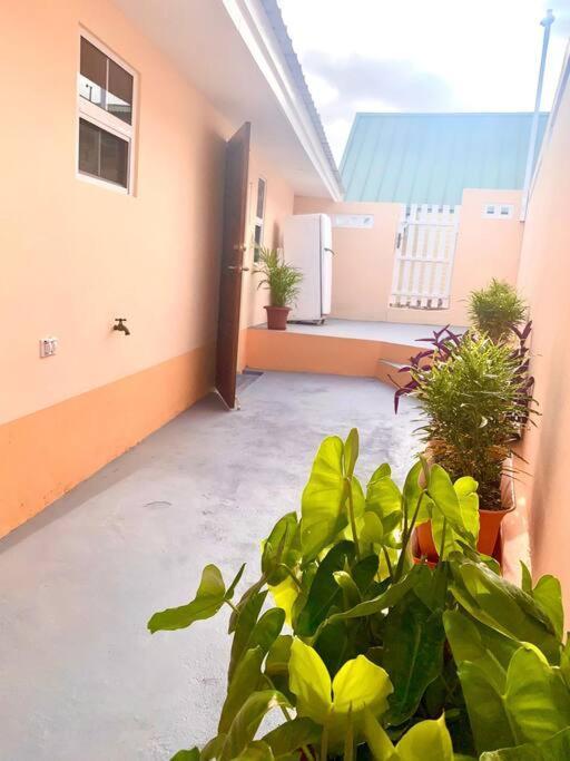 Centrally Located, Private, 1 Bedroom Apartment. 威廉斯塔德 外观 照片